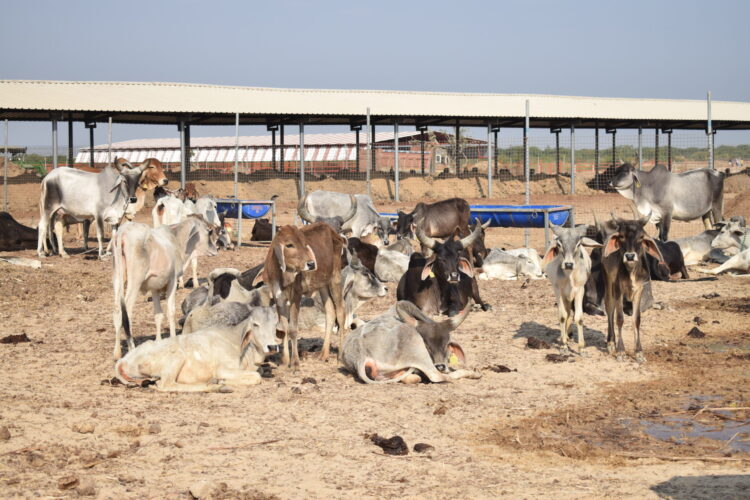 Home 6 Bhareshwar HomePage img 02