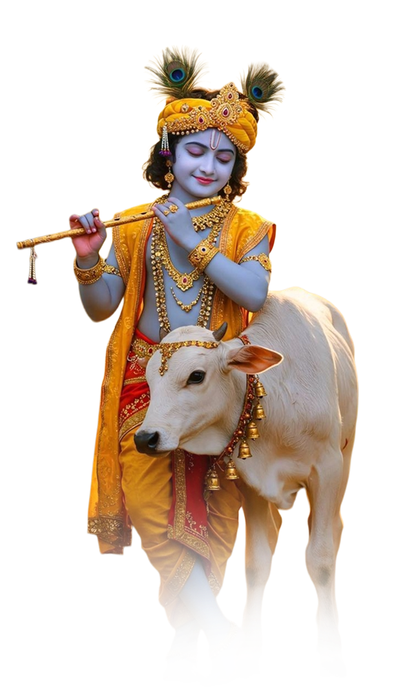 Donate Now 7 download 50 2